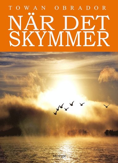 bokomslag När det skymmer