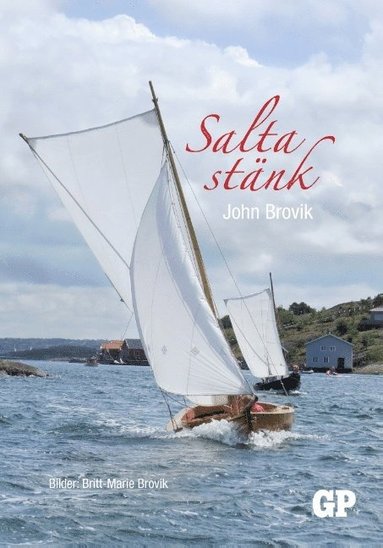 bokomslag Salta stänk