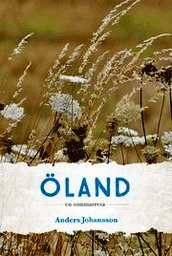 bokomslag Öland en sommarresa