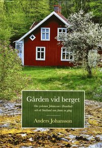 bokomslag Gården vid berget