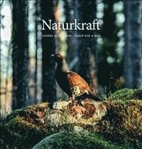 bokomslag Naturkraft