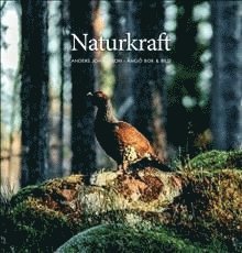 bokomslag Naturkraft