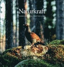 Naturkraft 1