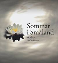 bokomslag Sommar i Småland