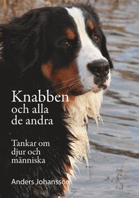 bokomslag Knabben och all de andra : Tankar om djur och människa