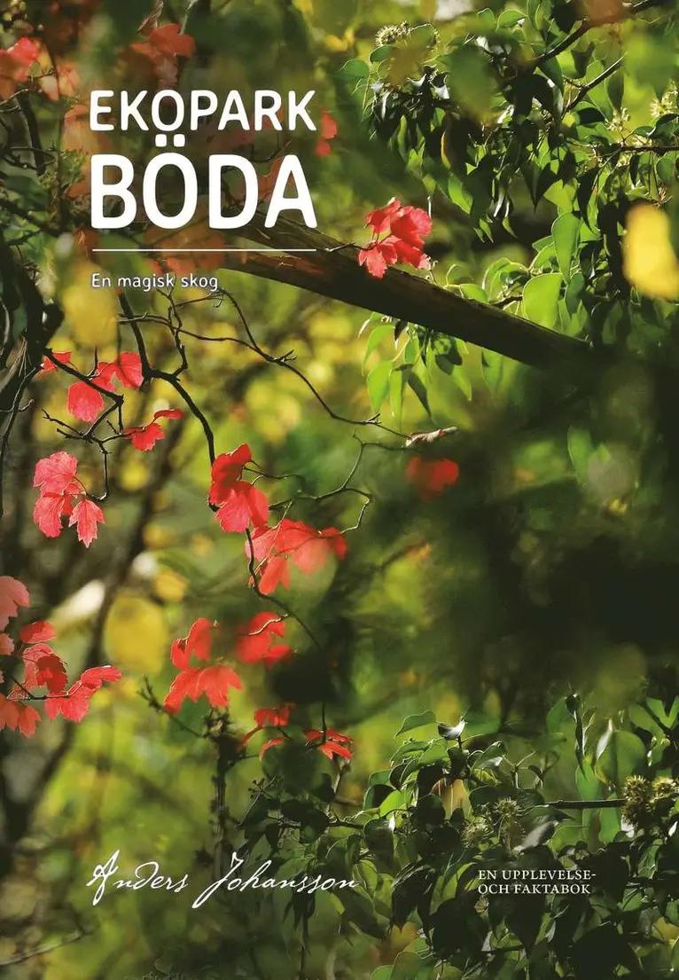 Anders Johansson - Ekopark Böda. En magisk skog., Inbunden. Tillgänglighet: Lägg i varukorg