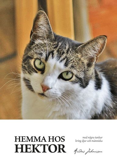 Anders Johansson - Hemma hos Hektor, Inbunden