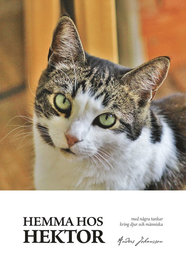 Hemma hos Hektor
