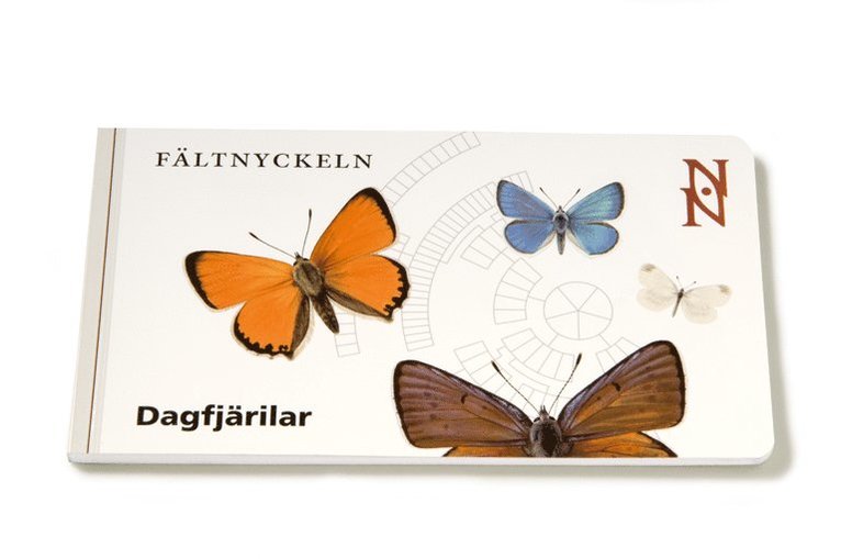 Fältnyckeln. Dagfjärilar 1