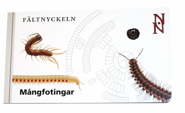 Fältnyckeln. Mångfotingar 1