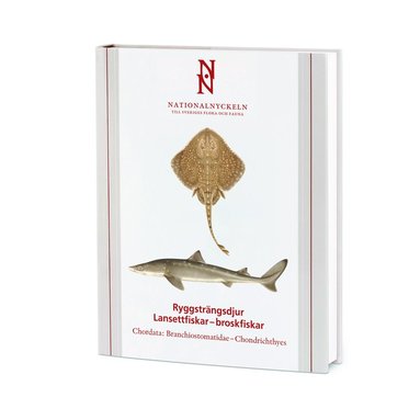 bokomslag Ryggsträngsdjur : lansettfiskar - broskfiskar. Chordata : branchiostomatidae - chondrichthyes