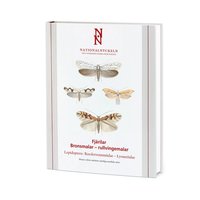 bokomslag Fjärilar : bronsmalar - rullvingemalar. Lepidoptera : roesslerstammidae - lyoneti