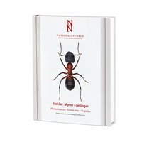 bokomslag Steklar : myror - getingar. Hymenoptera : formicidae - vespidae
