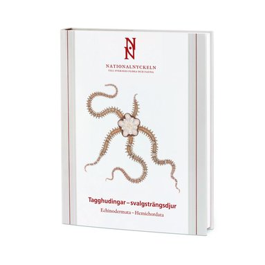 bokomslag Tagghudingar - svalgsträngsdjur. Echinodermata - hemichordata