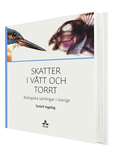 bokomslag Skatter i vått och torrt : biologiska samlingar i Sverige