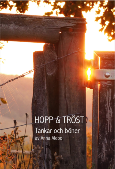 bokomslag Hopp och tröst : tankar och böner