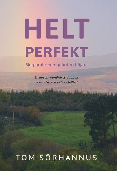 bokomslag Helt perfekt : skapande med glimten i ögat - en ensam vandrares dagbok i levnadskonst  och lekfullhet