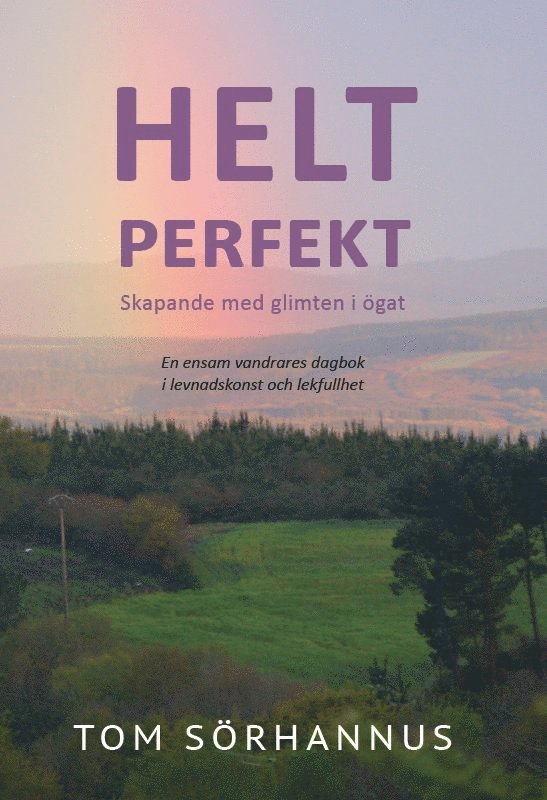 Helt perfekt : skapande med glimten i ögat - en ensam vandrares dagbok i levnadskonst  och lekfullhet 1