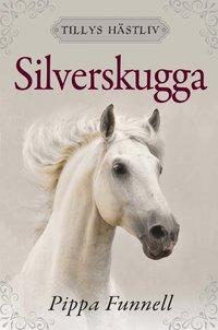 bokomslag Silverskugga