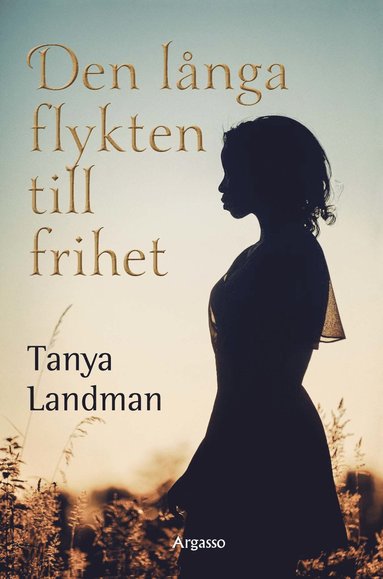 bokomslag Den långa flykten till frihet