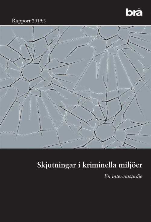 Dödligt våld i Sverige 1990-2017. Brå rapport 2019:6 : omfattning, utveckling och karaktär