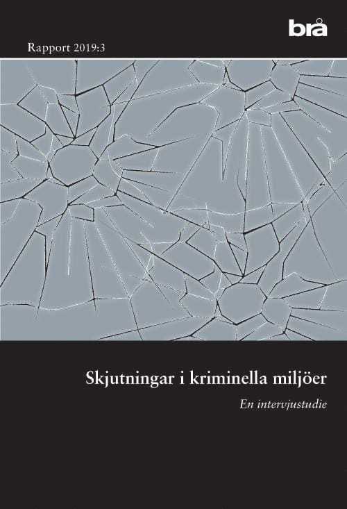 Dödligt våld i Sverige 1990-2017. Brå rapport 2019:6 : omfattning, utveckling och karaktär 1