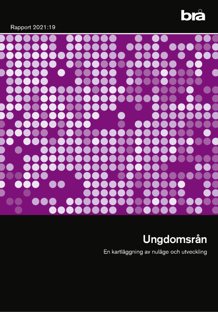 Ungdomsrån : en kartläggning av nuläge och utveckling
