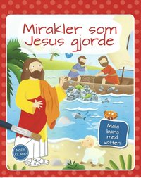 bokomslag Mirakler som Jesus gjorde