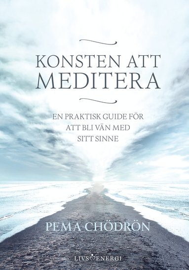 bokomslag Konsten att meditera : En praktisk guide för att bli vän med sitt sinne