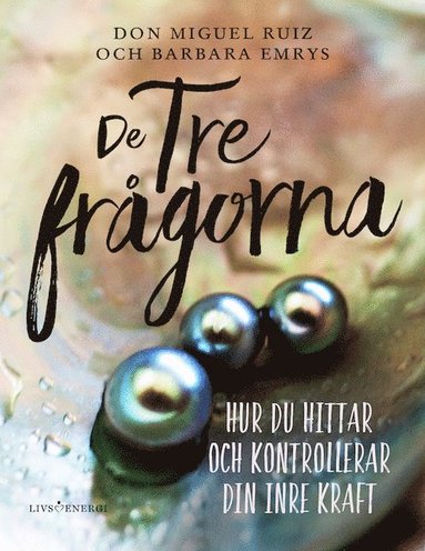 bokomslag De tre frågorna : hur du hittar och kontrollerar din inre kraft