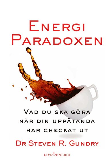 bokomslag Energiparadoxen