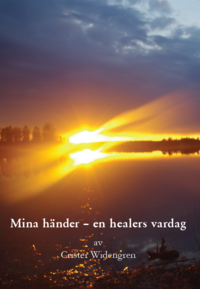 bokomslag Mina händer : en healers vardag