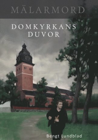 bokomslag Domkyrkans duvor