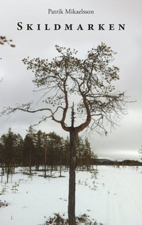 bokomslag Skildmarken