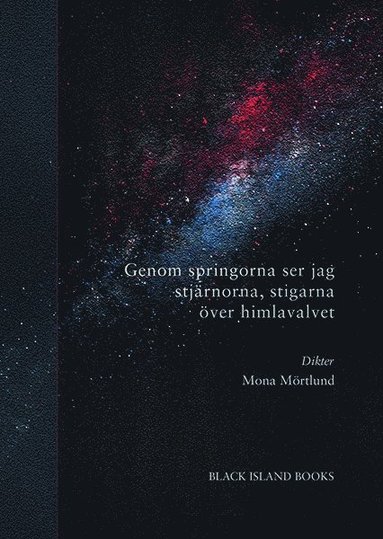 bokomslag Genom springorna ser jag stjärnorna, stigarna över himlavalvet