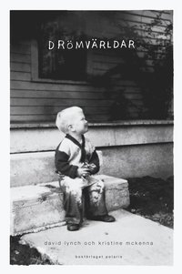 bokomslag Drömvärldar