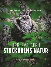 bokomslag Upplevelser i Stockholms natur