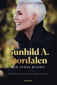 bokomslag Den stora bilden : Gunhild A. Stordalen