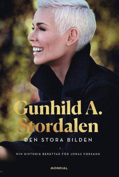 bokomslag Den stora bilden