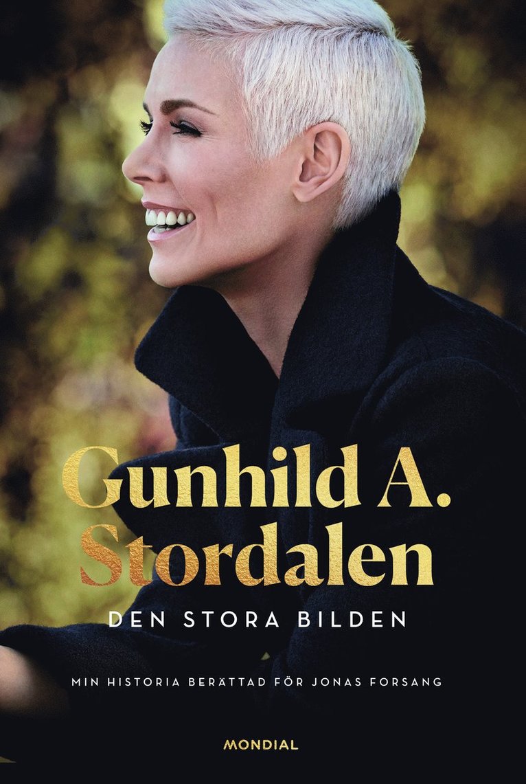Gunhild A. Stordalen, Jonas Forsang - Den stora bilden, Inbunden