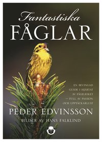 bokomslag Fantastiska fåglar : en bevingad guide i hjärtat av fågelriket - full av passion och upptäckarlust