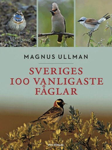 Magnus Ullman - Sveriges 100 vanligaste fåglar, Häftad