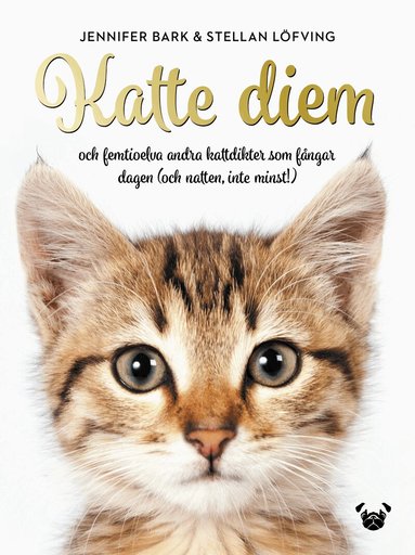 Jennifer Bark, Stellan Löfving - Katte Diem : och femtioelva andra kattdikter som fångar dagen (och natten, inte minst!), Inbunden