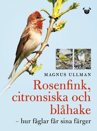 bokomslag Rosenfink, citronsiska och blåhake : hur fåglar får sina färger