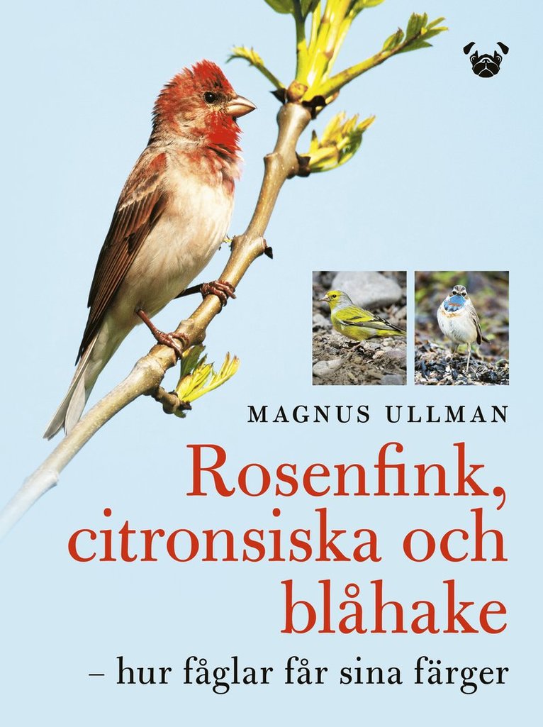 Rosenfink, citronsiska och blåhake : hur fåglar får sina färger 1