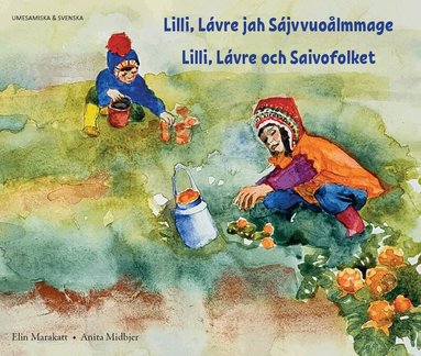 Elin Marakatt, Anita Midbjer - Lilli, Lávre och Saivofolket (umesamiska och svenska), Häftad
