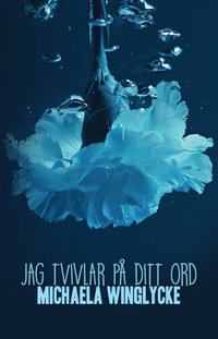 bokomslag Jag tvivlar på ditt ord