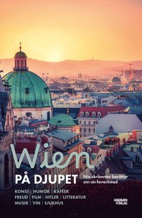 bokomslag Wien på djupet