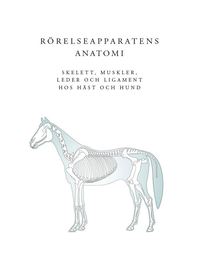 bokomslag Rörelseapparatens anatomi : skelett, muskler, leder och ligament hos häst och hund