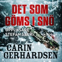 bokomslag Det som göms i snö